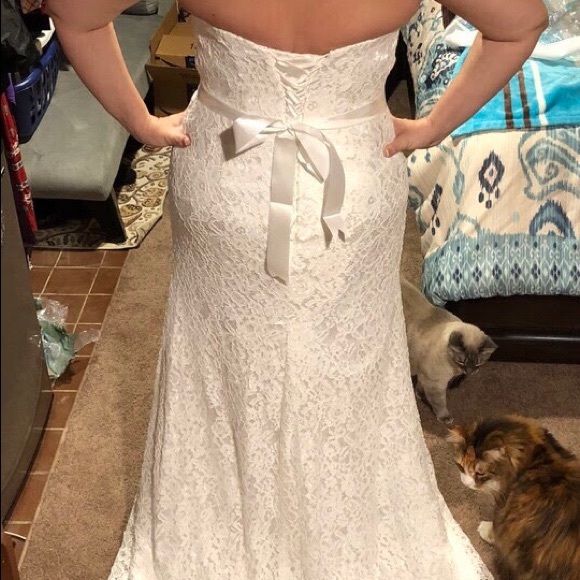 Beautiful lace never worn wedding dress! - Picture 3 of 4